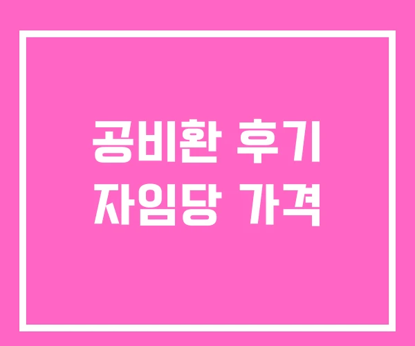공비환 후기 자임당 가격