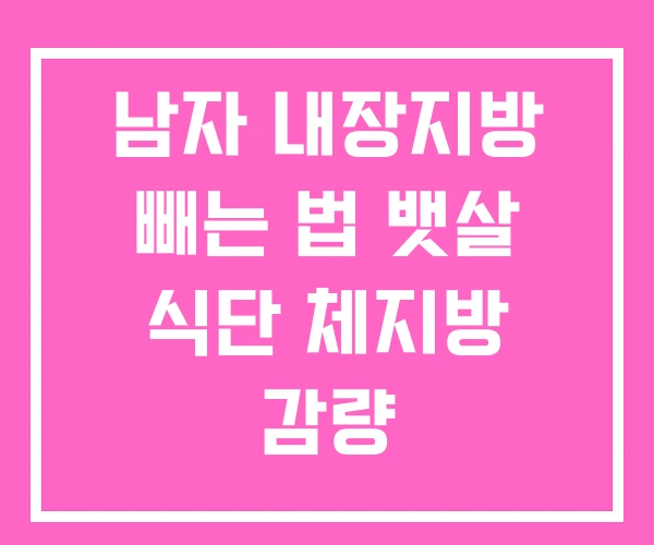 남자 내장지방 빼는 법 뱃살 식단 체지방 감량