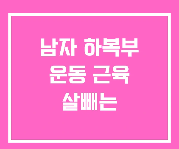 남자 하복부 운동 근육 살빼는