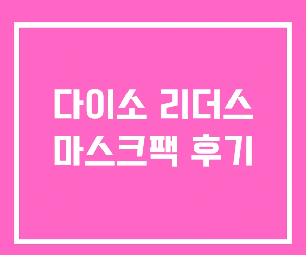 다이소 리더스 마스크팩 후기 다이소 리더스 마스크팩 후기