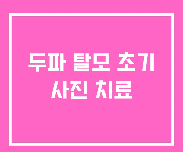 두파 탈모 초기 사진 치료