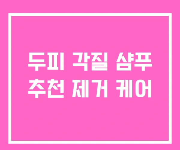 두피 각질 샴푸 추천 제거 케어