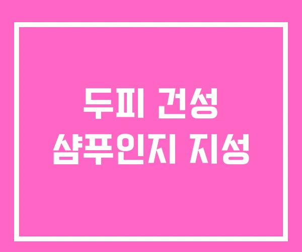 두피 건성 샴푸인지 지성