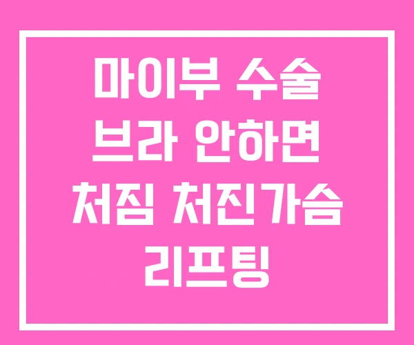 마이부 수술 브라 안하면 처짐 처진가슴 리프팅