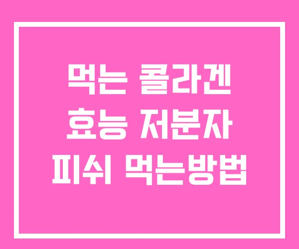먹는 콜라겐 효능 저분자 피쉬 먹는방법 먹는 콜라겐 효능 저분자 피쉬 먹는방법