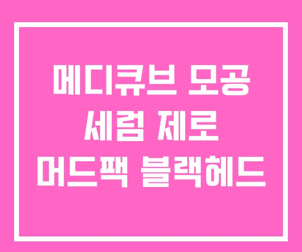 메디큐브 모공 세럼 제로 머드팩 블랙헤드 메디큐브 모공 세럼 제로 머드팩 블랙헤드