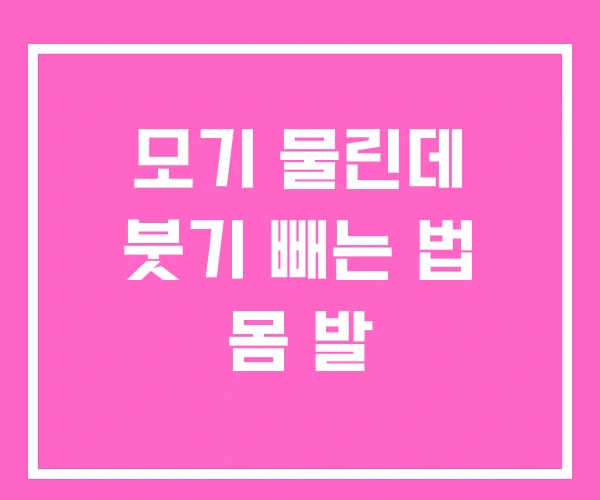 모기 물린데 붓기 빼는 법 몸 발