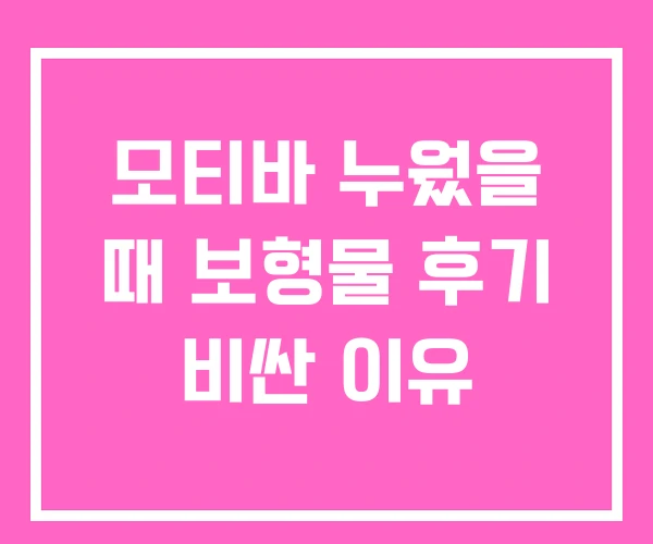 모티바 누웠을 때 보형물 후기 비싼 이유 모티바 누웠을 때 보형물 후기 비싼 이유