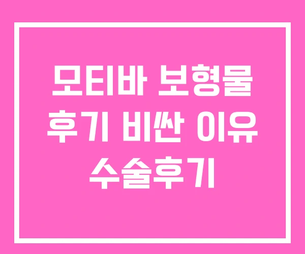 모티바 보형물 후기 비싼 이유 수술후기