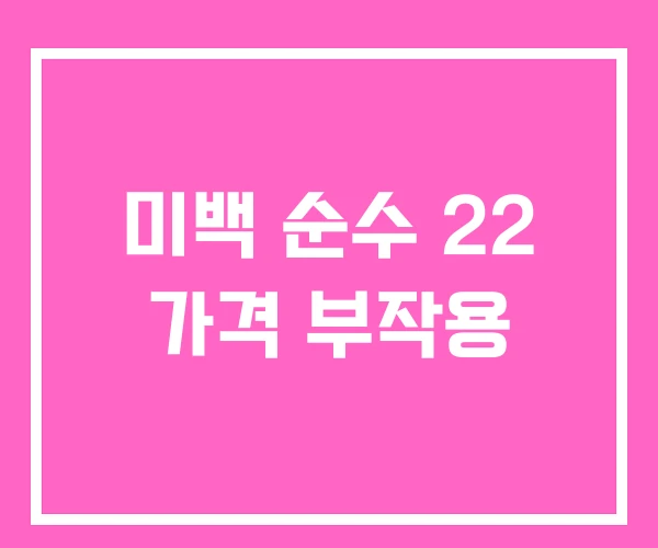 미백 순수 22 가격 부작용