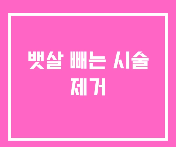 뱃살 빼는 시술 제거 뱃살 빼는 시술 제거