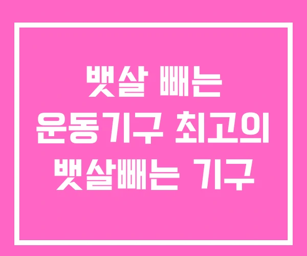 뱃살 빼는 운동기구 최고의 뱃살빼는 기구