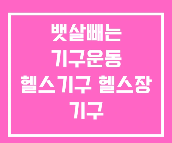 뱃살빼는 기구운동 헬스기구 헬스장 기구 뱃살빼는 기구운동 헬스기구 헬스장 기구