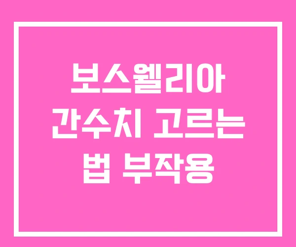 보스웰리아 간수치 고르는 법 부작용 보스웰리아 간수치 고르는 법 부작용