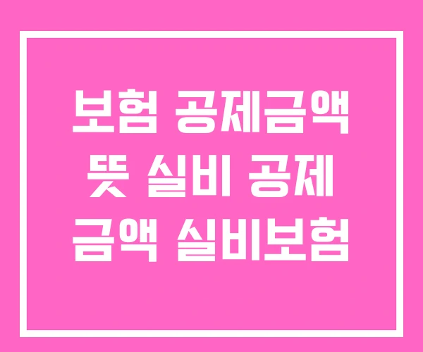 보험 공제금액 뜻 실비 공제 금액 실비보험 보험 공제금액 뜻 실비 공제 금액 실비보험