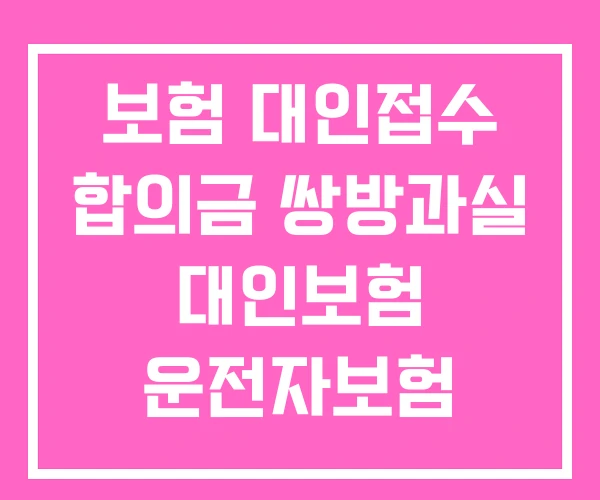 보험 대인접수 합의금 쌍방과실 대인보험 운전자보험 대인사고 보험 대인접수 합의금 쌍방과실 대인보험 운전자보험 대인사고