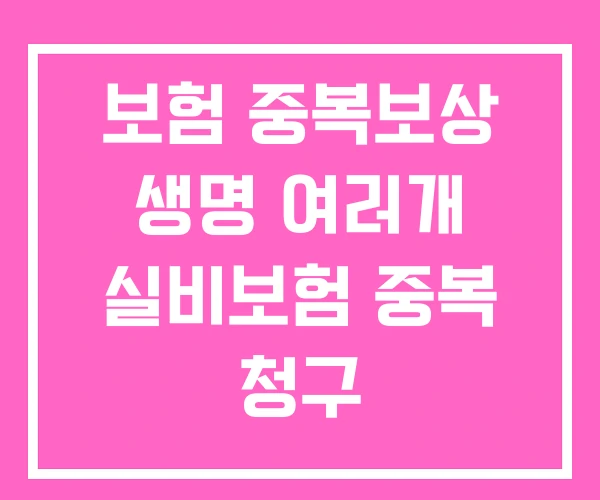 보험 중복보상 생명 여러개 실비보험 중복 청구