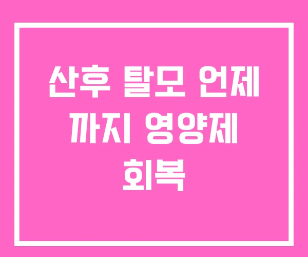 산후 탈모 언제 까지 영양제 회복