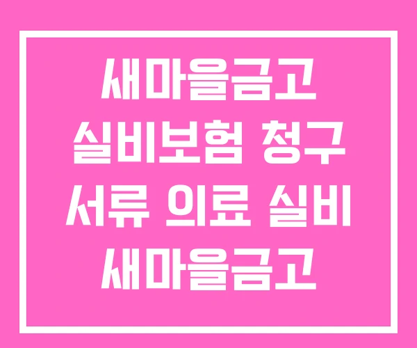 새마을금고 실비보험 청구 서류 의료 실비 새마을금고 새마을금고 실비보험 청구 서류 의료 실비 새마을금고
