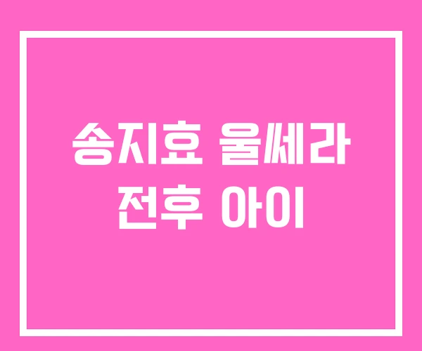 송지효 울쎄라 전후 아이