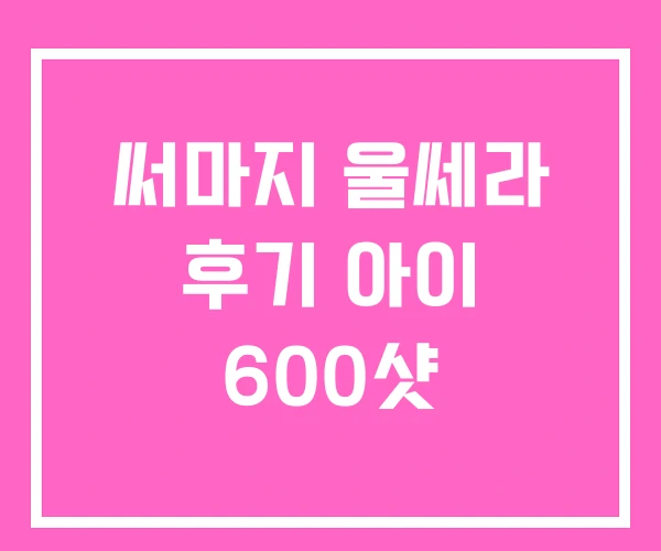써마지 울쎄라 후기 아이 600샷 써마지 울쎄라 후기 아이 600샷
