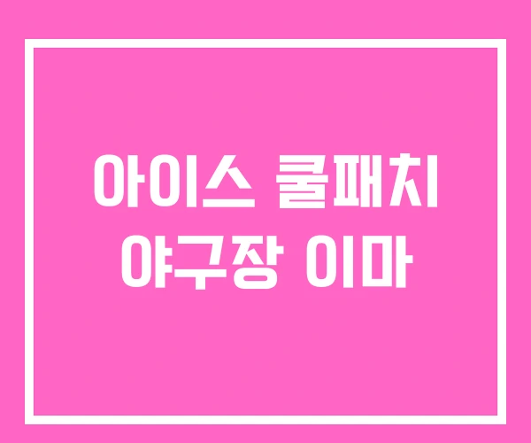 아이스 쿨패치 야구장 이마