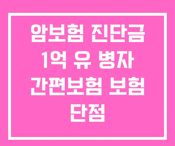 암보험 진단금 1억 유 병자 간편보험 보험 단점 암보험 진단금 1억 유 병자 간편보험 보험 단점