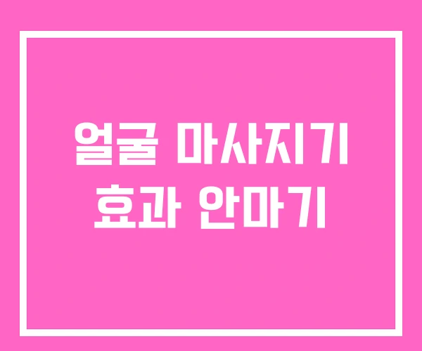 얼굴 마사지기 효과 안마기