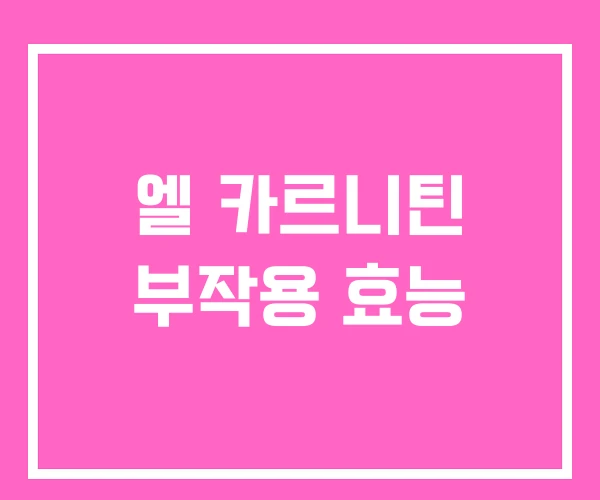 엘 카르니틴 부작용 효능 엘 카르니틴 부작용 효능