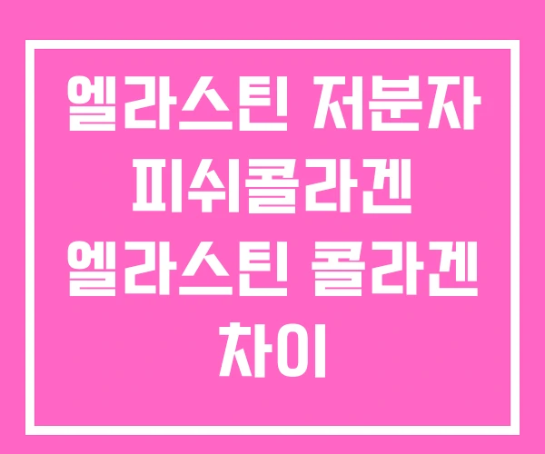 엘라스틴 저분자 피쉬콜라겐 엘라스틴 콜라겐 차이