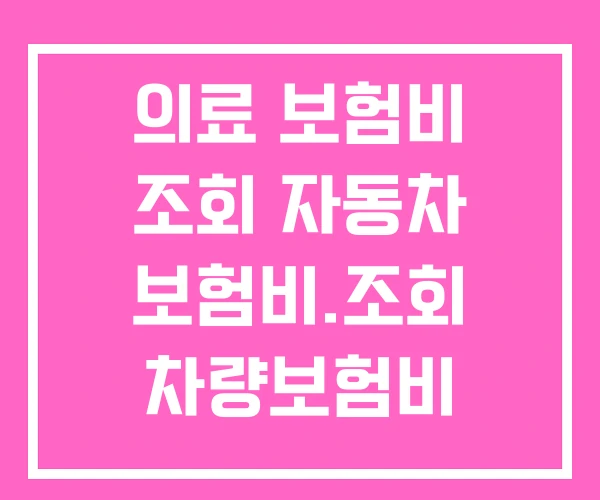 의료 보험비 조회 자동차 보험비.조회 차량보험비