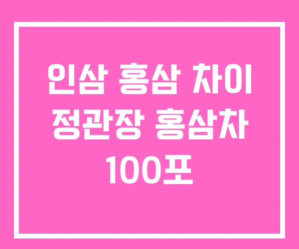 인삼 홍삼 차이 정관장 홍삼차 100포