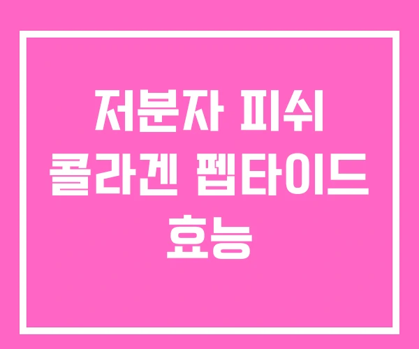 저분자 피쉬 콜라겐 펩타이드 효능