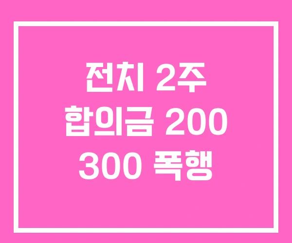 전치 2주 합의금 200 300 폭행