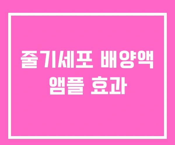 줄기세포 배양액 앰플 효과