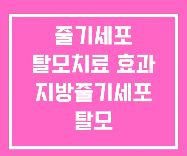 줄기세포 탈모치료 효과 지방줄기세포 탈모