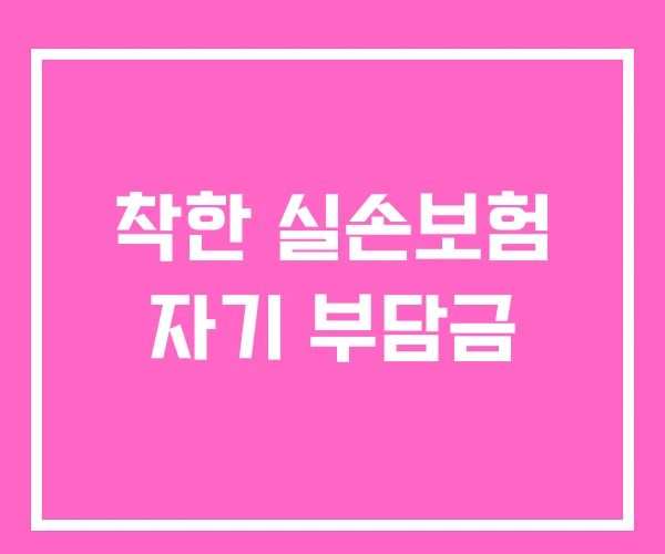 착한 실손보험 자기 부담금 착한 실손보험 자기 부담금