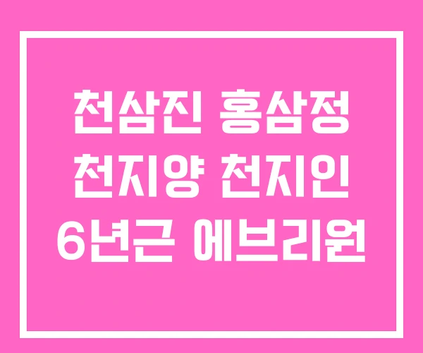 천삼진 홍삼정 천지양 천지인 6년근 에브리원 천삼진 홍삼정 천지양 천지인 6년근 에브리원