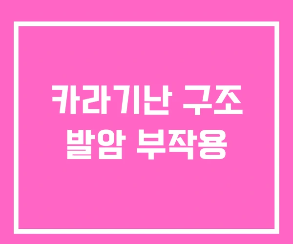 카라기난 구조 발암 부작용