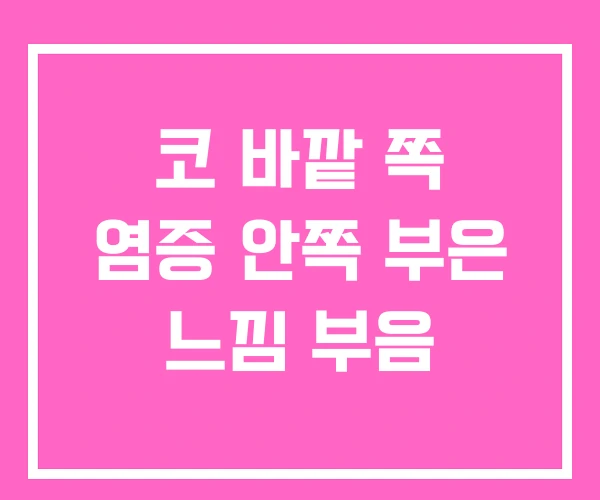 코 바깥 쪽 염증 안쪽 부은 느낌 부음