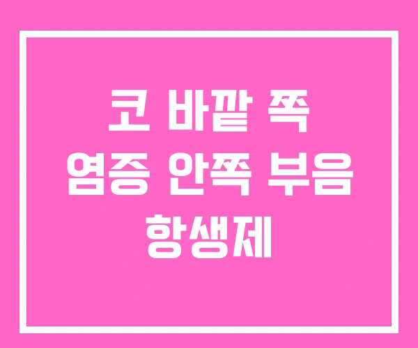 코 바깥 쪽 염증 안쪽 부음 항생제 코 바깥 쪽 염증 안쪽 부음 항생제