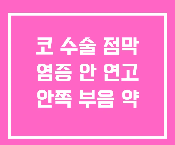 코 수술 점막 염증 안 연고 안쪽 부음 약 코 수술 점막 염증 안 연고 안쪽 부음 약