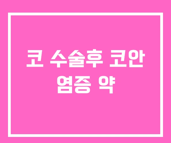 코 수술후 코안 염증 약 코 수술후 코안 염증 약