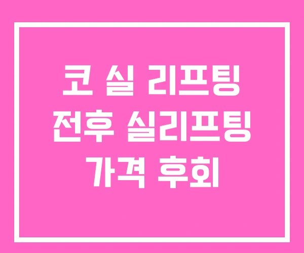 코 실 리프팅 전후 실리프팅 가격 후회 코 실 리프팅 전후 실리프팅 가격 후회