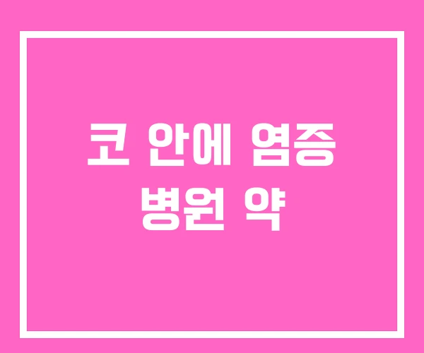 코 안에 염증 병원 약