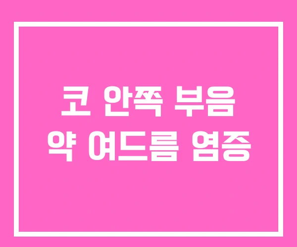 코 안쪽 부음 약 여드름 염증