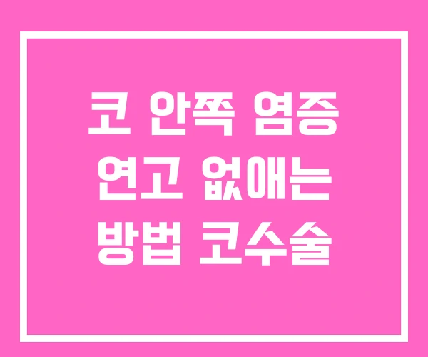 코 안쪽 염증 연고 없애는 방법 코수술 코 안쪽 염증 연고 없애는 방법 코수술