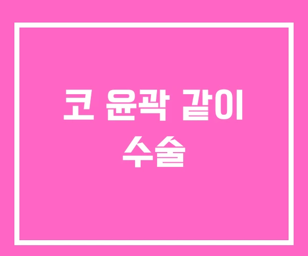 코 윤곽 같이 수술