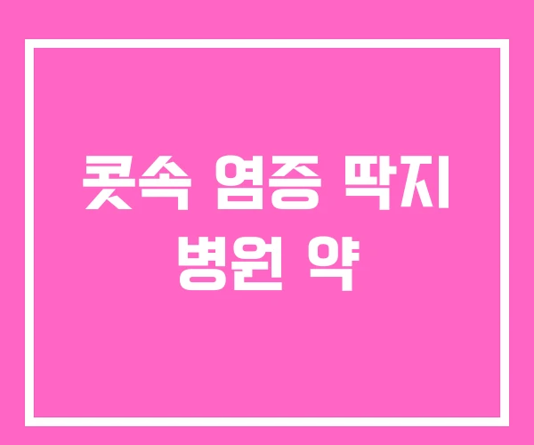 콧속 염증 딱지 병원 약