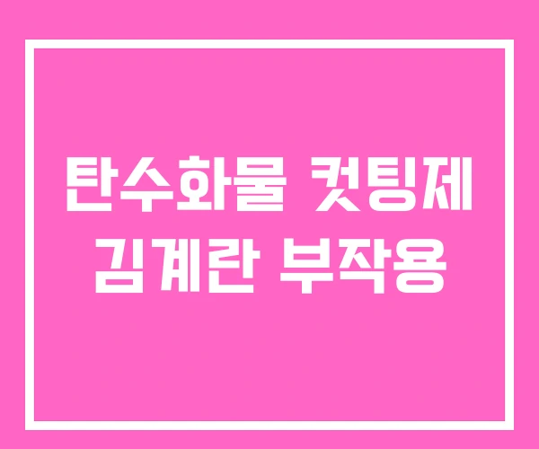 탄수화물 컷팅제 김계란 부작용